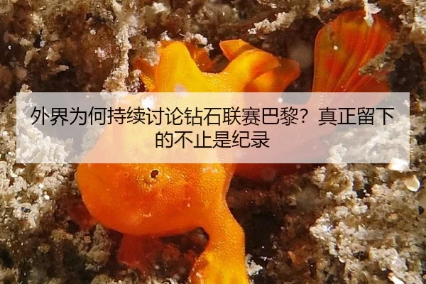 外界为何持续讨论钻石联赛巴黎？真正留下的不止是纪录